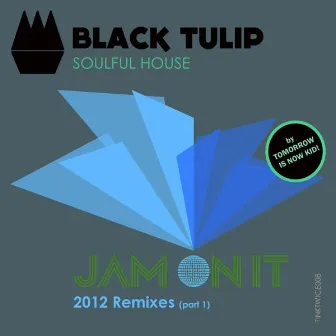 Jam On It (2012 Remixes, Part 1) by Black Tulip