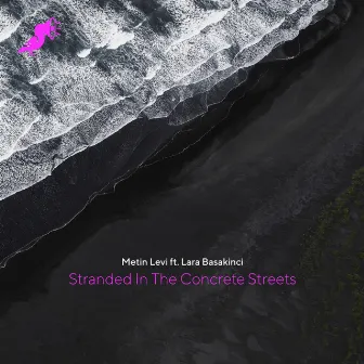 Stranded In The Concrete Streets by Metin Levi