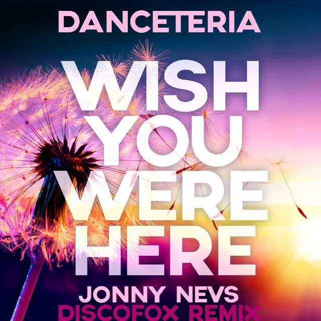 Wish You Were Here (Jonny Nevs Mix)