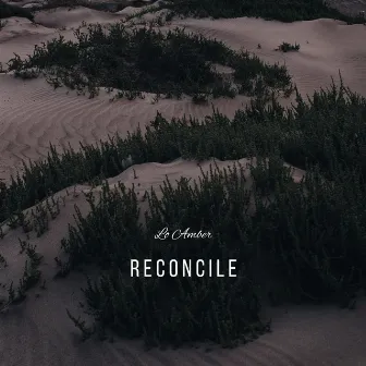 Reconcile by Lo Amber