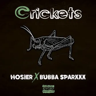 Crickets by Chris Hosier