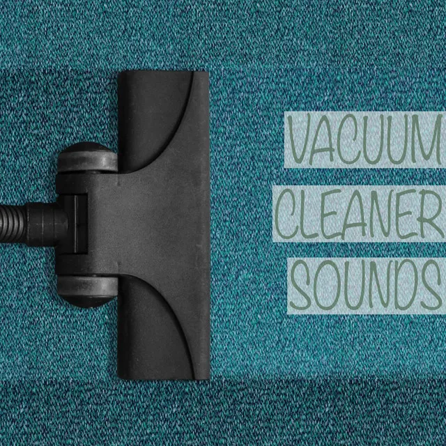 Deep Sleep Vacuum Cleaners