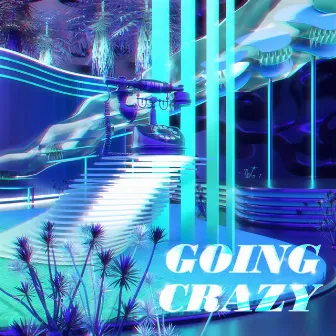 Going Crazy by Harv