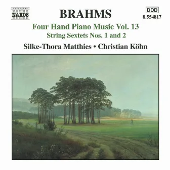 Brahms: Four-Hand Piano Music, Vol. 13 by Silke-Thora Matthies