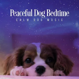 Peaceful Dog Bedtime by Calm Dog Music