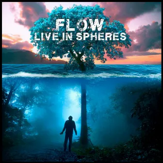 Live In Spheres by Flow