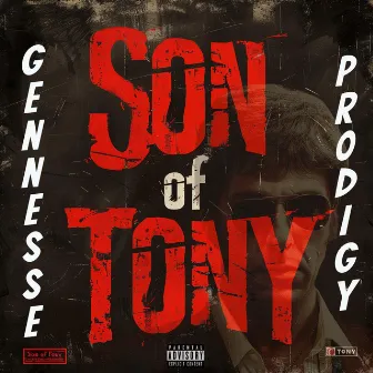 Son of Tony by Gennessee