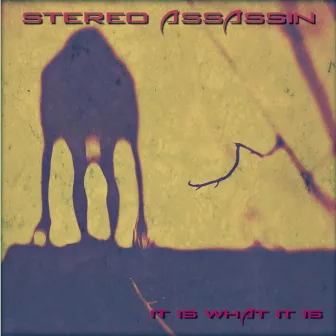 It Is What It Is by Stereo Assassin