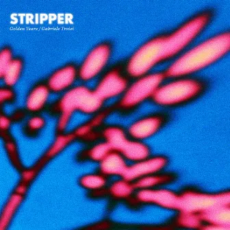 Stripper by Golden Years