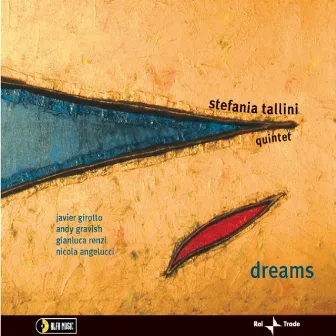 Dreams by Stefania Tallini