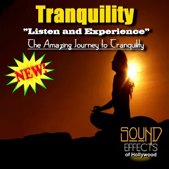 Tranquility - Listen And Experience The Amazing Journey To Tranquility by Tranquility