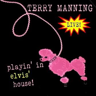 Playin' in Elvis' House by Terry Manning