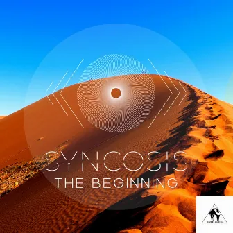 The Beginning by Syncosis