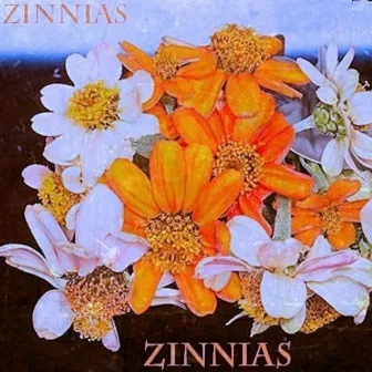 ZINNIAS by RDBRBS