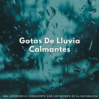 Gotas De Lluvia Calmantes: Una Experiencia Consciente Con Los Ritmos De La Naturaleza by Sonidos de lluvia FX