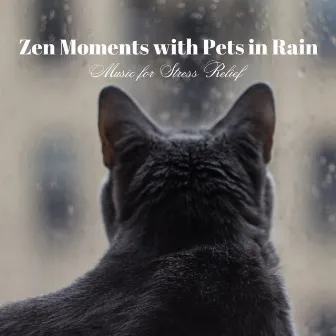 Zen Moments with Pets in Rain: Music for Stress Relief by Chill Playlist