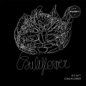 Cauliflower by R.P.M (FR)