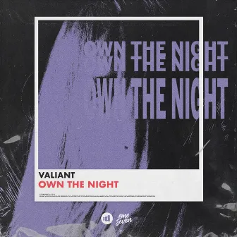 Own the Night by Valiant