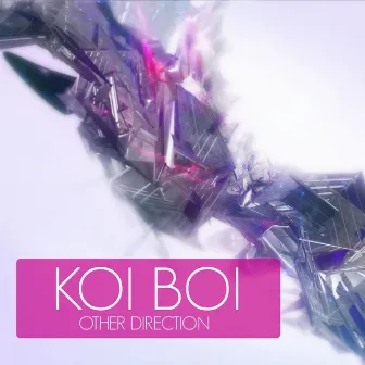 Other Direction by Koi Boi