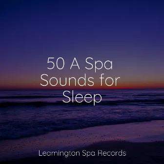 50 A Spa Sounds for Sleep by Crying & Colic Relief