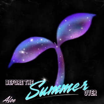 Before the Summer Over - EP by Unknown Artist