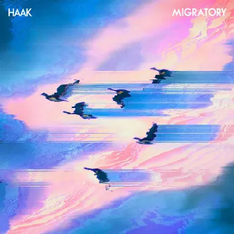 Migratory by haak