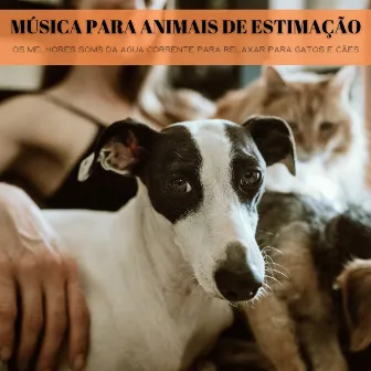 Música Para Animais De Estimação: Os Melhores Soms Da Agua Corrente Para Relaxar Para Gatos E Cães by Binaural Beats Tons de Estudo