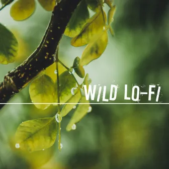 Wild Lo-Fi by Roberto Milani