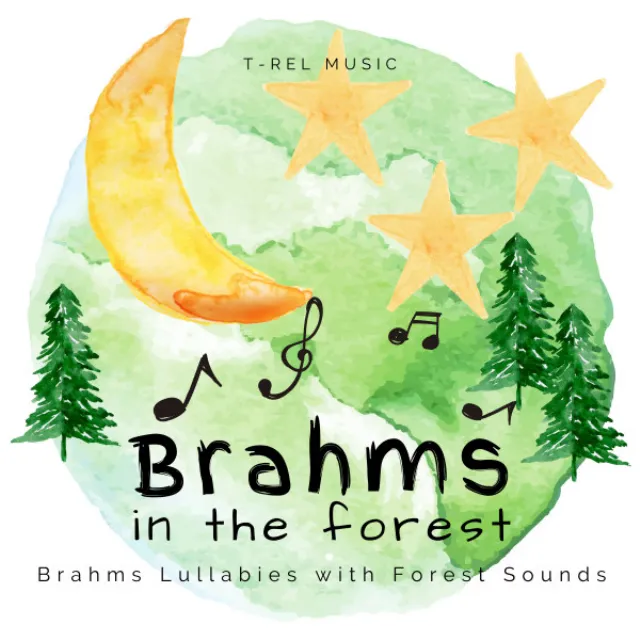 Brahms Lullaby in the Forest 06