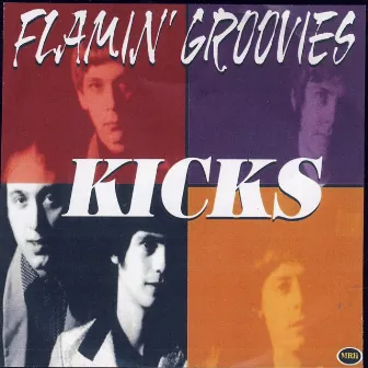 Kicks by Flamin' Groovies