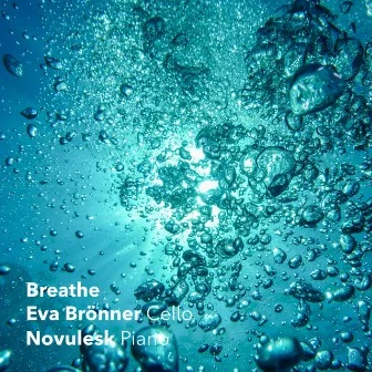 Breathe (Cello and Piano Cover) by Novulesk