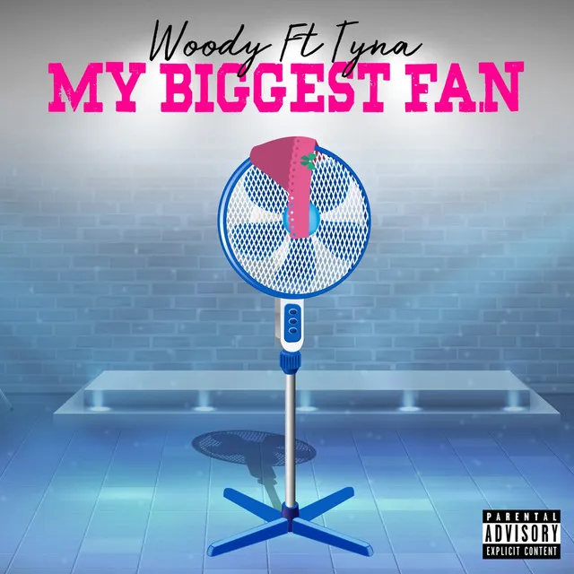 My Biggest Fan (You Don't Know Me)