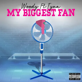 My Biggest Fan (You Don't Know Me) by Woody