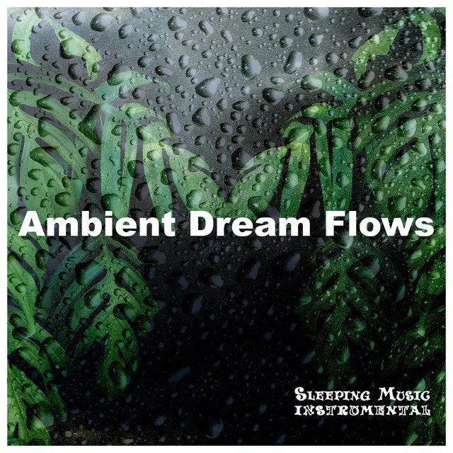 Ambient Dream Flows