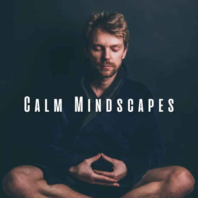 Calm Mindscapes: Soothing Meditative Piano