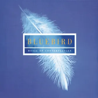 Bluebird - Music Of Contemplation by Edward Higginbottom