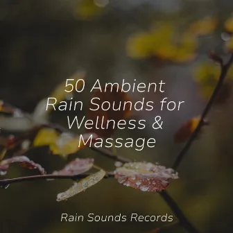 50 Ambient Rain Sounds for Wellness & Massage by PowerThoughts Meditation Club