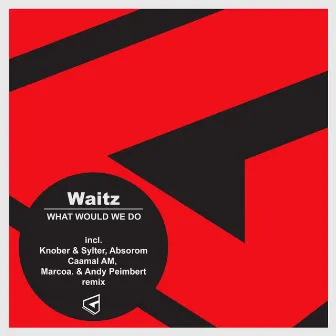 What Would We Do by Waitz