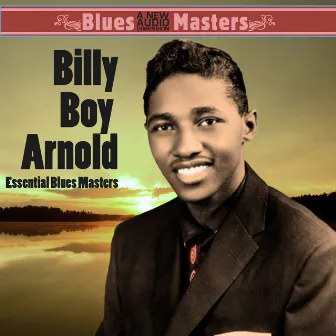 Essential Blues Masters by Billy Boy Arnold