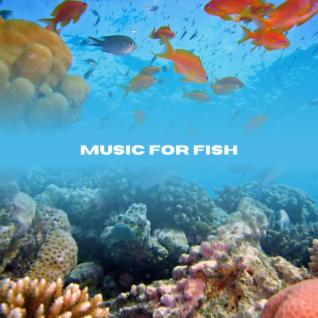 Fish Music