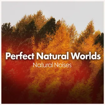 Perfect Natural Worlds by Natural Noises