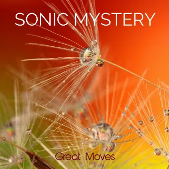 Great Moves by Sonic Mystery