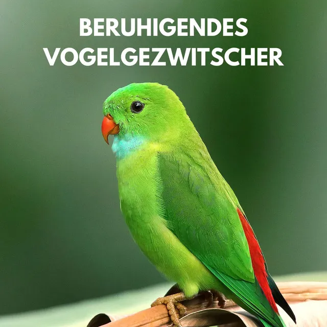 Beruhigendes Vogelgezwitscher