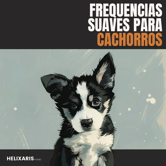 Frecuencias Suaves para Cachorros