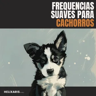 Frecuencias Suaves para Cachorros by Música para Mascotas