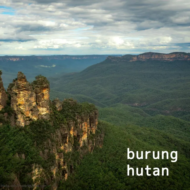 burung hutan