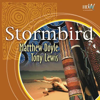 Stormbird by Tony Lewis