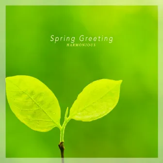 Spring Greeting by Harmonious