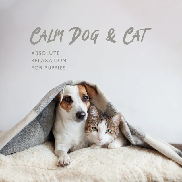 Calm Dog & Cat: Absolute Relaxation for Puppies, Kittens, Stress Reduction, Anxiety Help, Calm Dow Your Pet