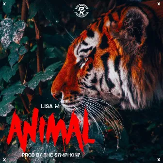 Animal by Lisa M